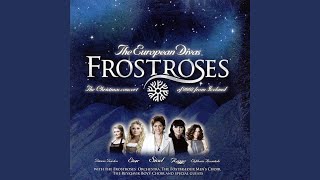 In The Lovely Dark Of Night (Live)