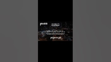صمت تام... ثم تلاوة تبكي القلب
