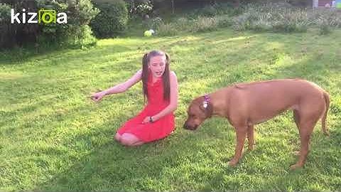 Kizoa Movie - Video - Slideshow Maker: Music Film Project