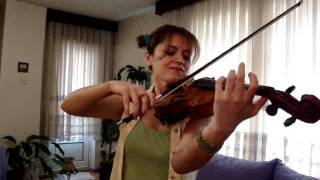 The Lord of the Rings-The Fellowship of the Ring; ''Concerning Hobbits'' with violin Resimi