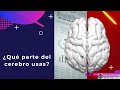 ¿Qué parte del cerebro usas? - Gaby Wall Street