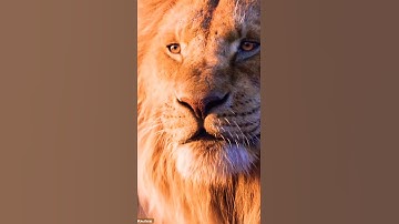 # Devayat Khavad lion🦁 attitude Whatsapp status || gandigir na savaj nu chapakaru ||[Devayat khavad]