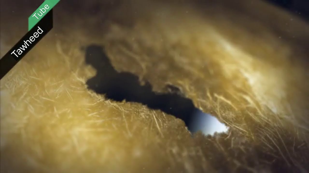 Da'waa Sheek Abdulkariim Ambuyyee Waa'ee BIDA'AA