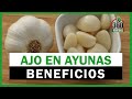 Beneficios de Comer AJO CRUDO en Ayunas