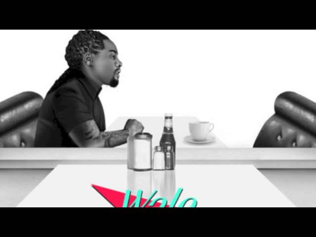 Wale - The Girls On Drugs (The Album About Nothing)