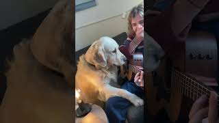 Famous Oscar Stembridge: What Teddy thinks about Oscar's singing and playing the guitar (April 19, 2024). Net Worth