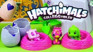 Hatchimals • Zwierzątka wyklute z jajeczek •  Moja kolekcja • Spin Master • Openbox