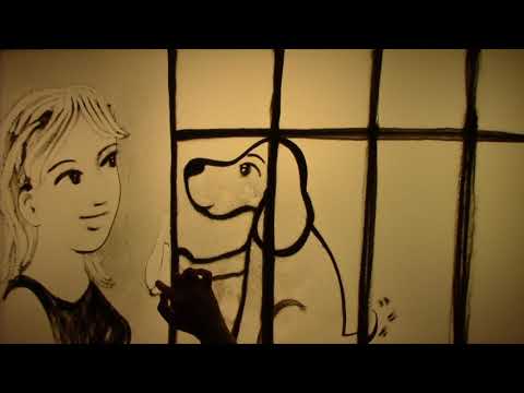 A.S.T.A. -  “Il Cuore che Accoglie”
