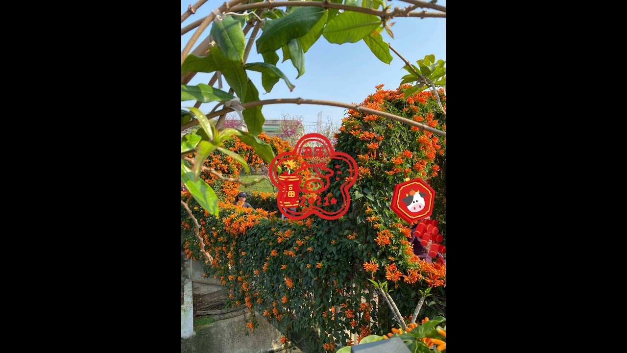 網紅美拍景點 Youtube 網紅美拍景點 Youtube