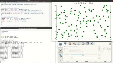 Example of Julia run