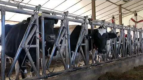 Farm visit at Ida user Scott McLean in Ontario, Ca...