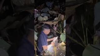 Điểm Cũ Nhứt Nách |#vuôngvlogtv #batca #viralvideo
