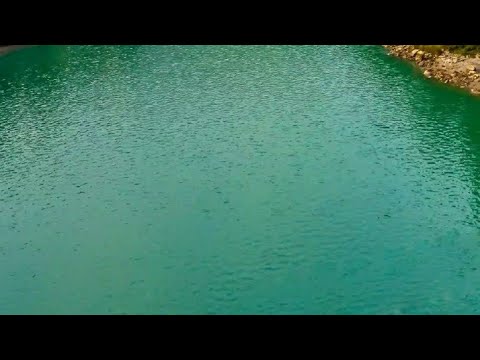 Daawwanna Bishaan Haramaaya