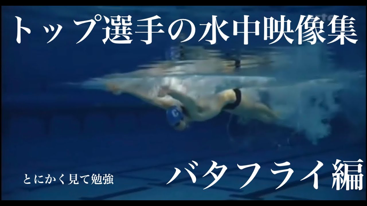 トップ選手の水中映像を見て勉強しよう！〜第1弾バタフライ編〜