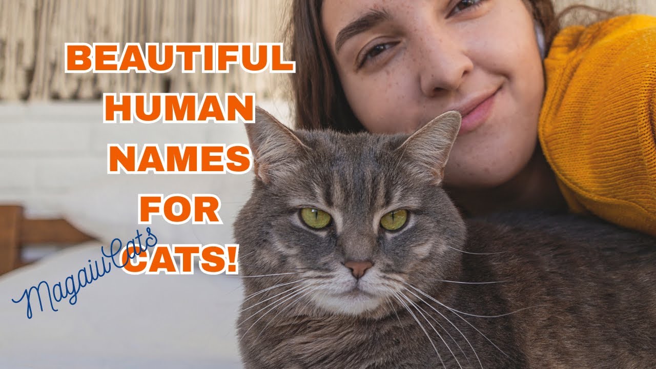 42 OLD HUMAN NAMES FOR CATS AND FEMALE CATS Part 2