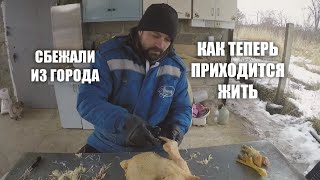 КУПИЛ ДОМ НА ХУТОРЕ | Как же мы ЖИВЕМ в своей ДЕРЕВНЕ | ЛЮДИ СМЕЯЛИСЬ #жизньвдеревне #хутор