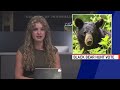 WUFT-TV NEWS First at Five  07/30/25