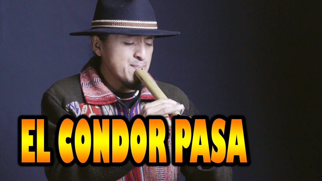 Simon condor. Simon condor