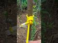 Let's tie a rope knot | Simple and useful 🪢✌️ #rope #knot #diy (▶110)