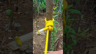 Let's tie a rope knot | Simple and useful 🪢✌️ #rope #knot #diy (▶110)