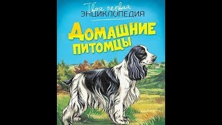 Твоя Первая Энциклопедия Домашние Питомцы Рени Патриция