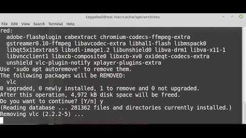 autoremove autoclean clean
