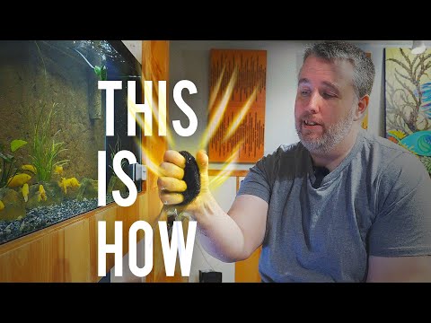 Video: How To Clean A Filter In An Aquarium