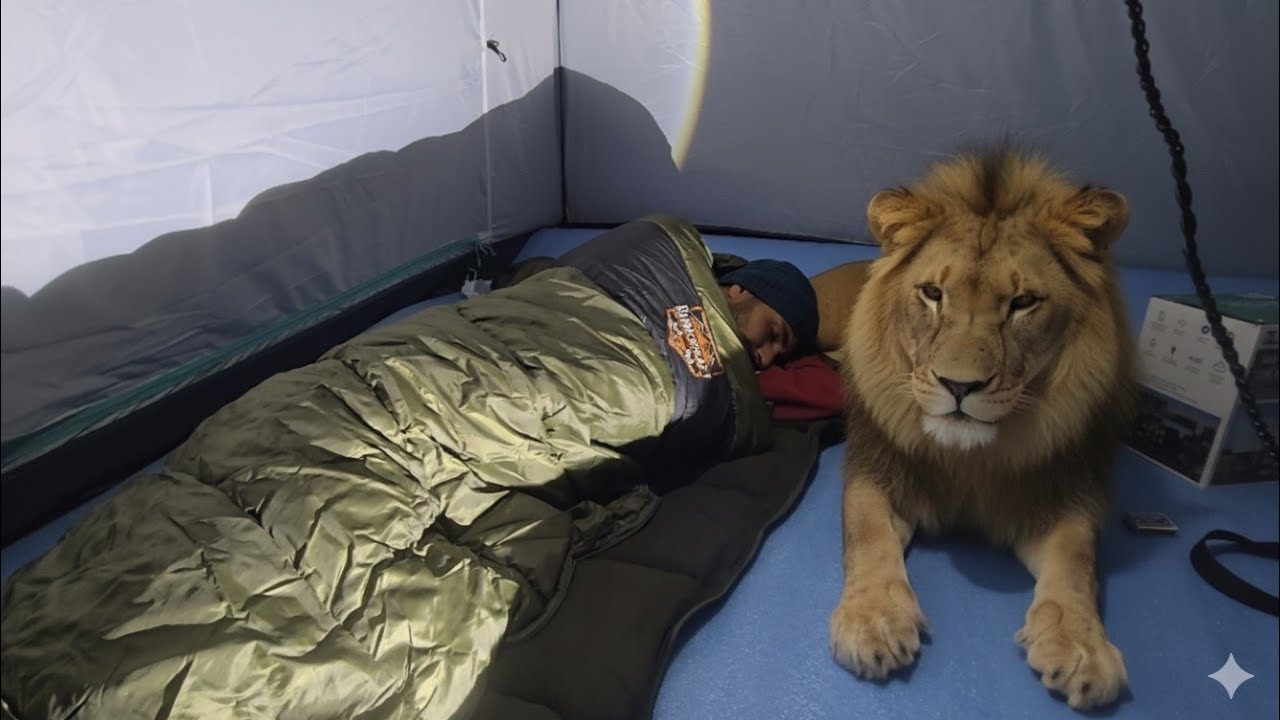 Solo night camping dangerous area | night camping in forest | night camping food | pahari qabila