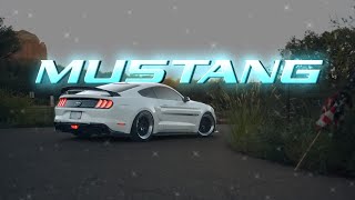 Mustang Gt