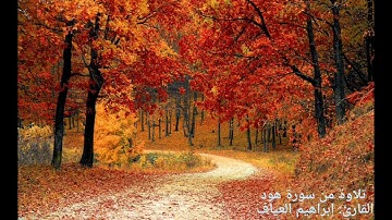 تلاوة من سورة هود | إبراهيم العياف 🌿🍂