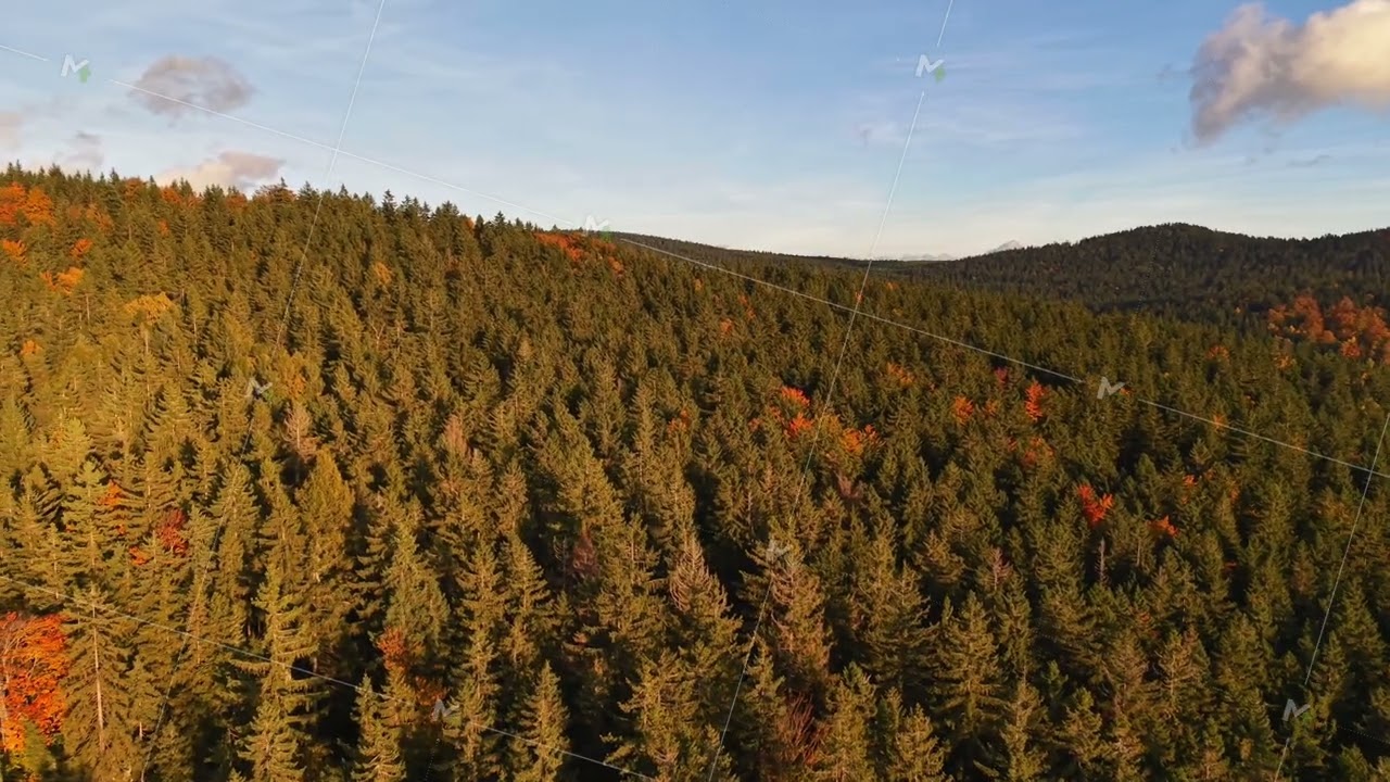 broad view of fallcolored hills and forests, expansive drone shot highlighting seasonal woodland