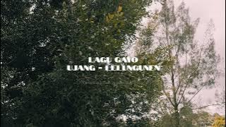 Lagu Gayo Ujang Lakiki - Lelungunen 4K Video