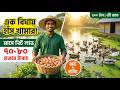 এক বিঘায় বাউ হাঁস + খাকি ক্যাম্পবেল! মাসে নিট লাভ ৭০-৮০ হাজার | সম্পূর্ণ মাস্টারপ্ল্যান