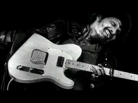 Albert Collins ~ ''When The Welfare Turns Its Back On You''(Modern Electric Blues 1978)