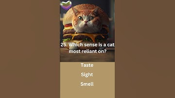 Amazing Cat Quiz # 25 - You need to Answer -    #cat #catlover #kitten #funny #pets #quiz