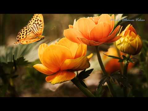 Happy Spring -
