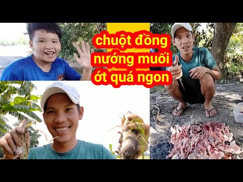 Hoàng Diễn TV.. chuột đồng nướng muối ớt siêu cai