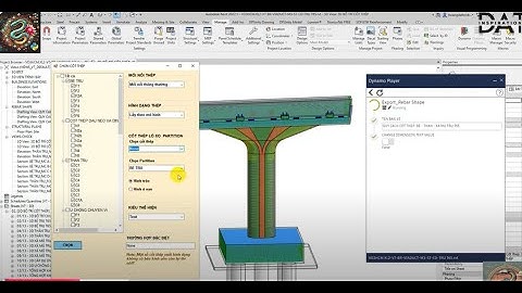 Tự động lấy và xuất hình dạng thép trong Revit: "Dynamo + Python" (Rebar Shape Detailing in Revit)