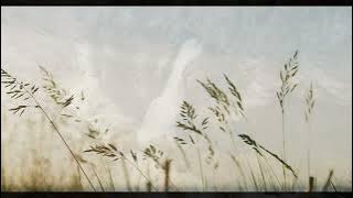 Wacaala - Ashers Masempela