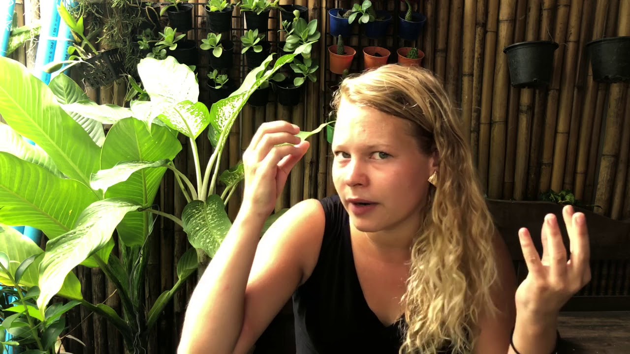 International Interview #5 : Julie Tsakani Roos from Ghent Belgium