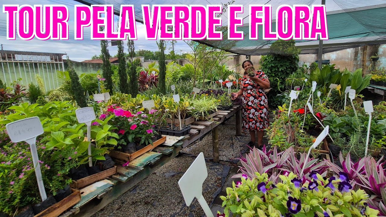 TOUR PELA FLORICULTURA VERDE FLORA EM MONTANHA/ES: PLANTA DE PEQUENO A GRANDE PORTE | JARDIM | DICAS