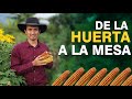 De la Huerta a la Mesa - Sin intermediarios.