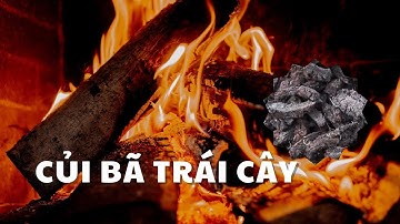 [Độc lạ tái chế] - CỦI BÃ TRÁI CÂY
