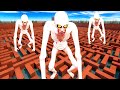 SCP СКРОМНИК ГОНЯЕТСЯ ЗА НАМИ В ЛАБИРИНТЕ ► Garry's Mod