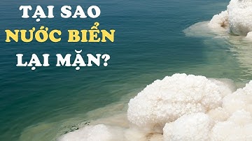 Tại Sao Nước Biển Lại Mặn? 99% Mọi Người Đều Hiểu Sai Vấn Đề Này
