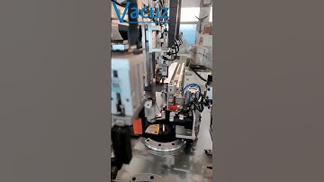 High Precision Fully Automatic Common Mode Toroidal Coil Inductor Crochet Hook Winding Machine Sale