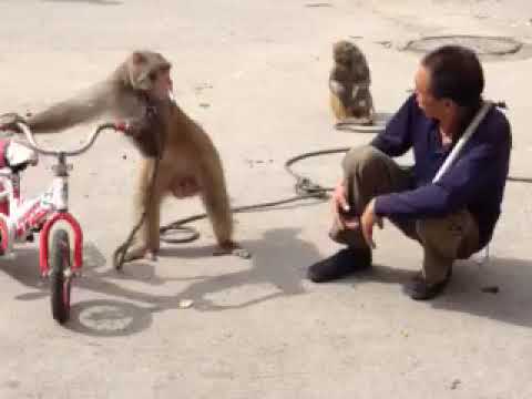 Https M Youtube Com Feed Library 