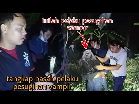 Video: Dari Awal