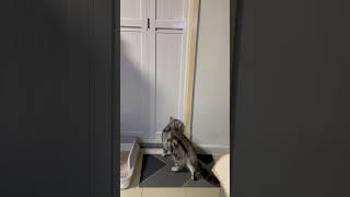 Chima Suka Ngintip Orang Mandi