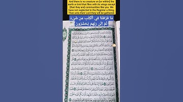 {د/سعود الشريم سورة الأنعام آية ٣٨ } ....